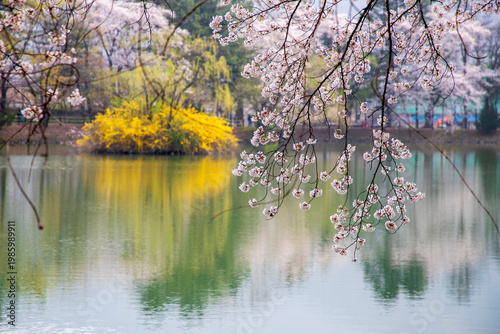 청평 호수