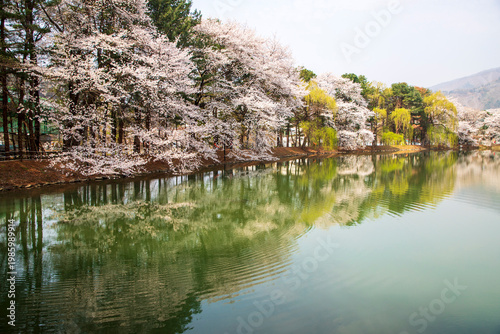 청평 호수