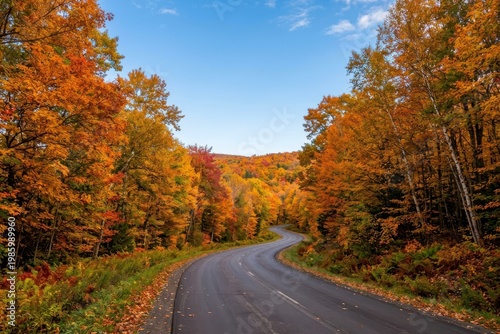 Autumn Road Through Fall Foliage with Colorful Trees and Blue Sky in Scenic Countryside