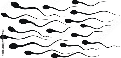 Sperm swimming on white background Keywords: sperm, spermatozoon, reproduction, fertility