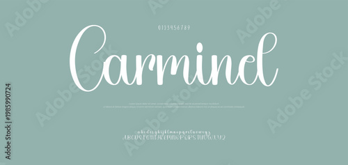 Elegant Script Font Alphabet Typography fonts regular uppercase and lowercase. vector illustration
