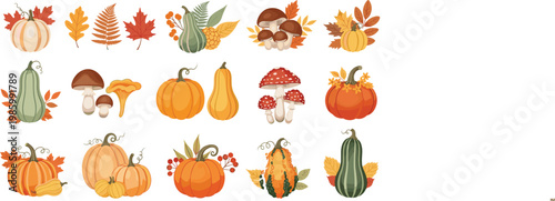 Autumn Harvest Vector Set Featuring Pumpkins, Gourds, Mushrooms, and Fall Leaves for Seasonal, Thanksgiving, and Farmhouse Design Themes