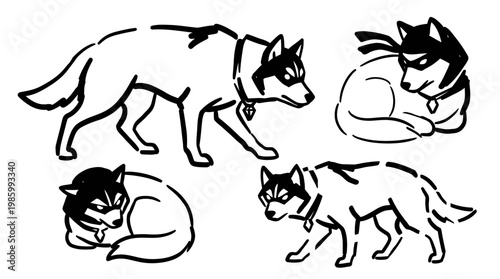 Black and White Line Art of Husky Dogs in Various Poses