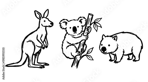 Australian Animals Line Art: Kangaroo, Koala, Wombat