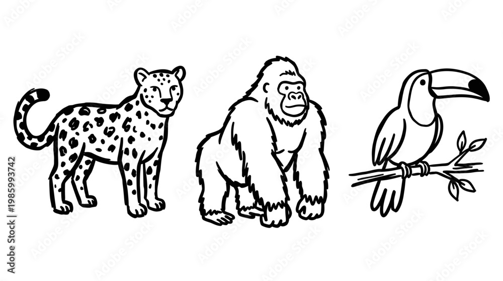 Fototapeta premium Wildlife Nature Education: Black White Line Art Leopard, Gorilla, Toucan Jungle Animals Set