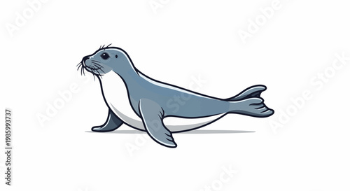 Cartoon seal with grey fur, white belly, flippers, and tail, on white background
