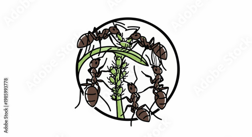 Cartoon ants tending to green aphids on a plant stem within a circle
