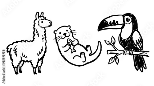Cute Llama, Otter with Fish, Toucan on Branch - Line Art For Kids