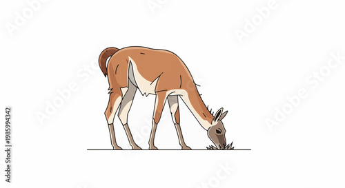 Cartoon llama-like animal grazing on grass against white background