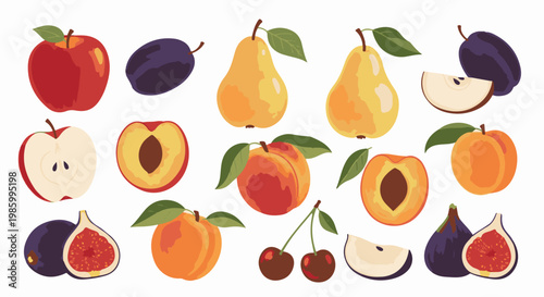 Collection of colorful fruits like apples, pears, plums, peaches, figs, and cherries