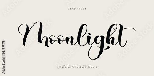 Script Classy elegant font, vintage type or luxury premium typeface, vector English royal alphabet. Classic typography in modern or old art deco style, serif letters for modern or retro poster font 
