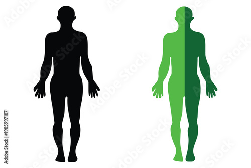 Human body silhouette vector set, black and green male figure icons, anatomical man outline for medical and fitness infographics