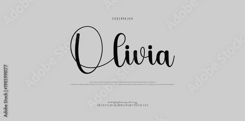 Elegant awesome alphabet letters font and number. unique serif font. Classic Lettering Minimal Fashion Designs. Typography fonts regular uppercase and lowercase. vector illustration
