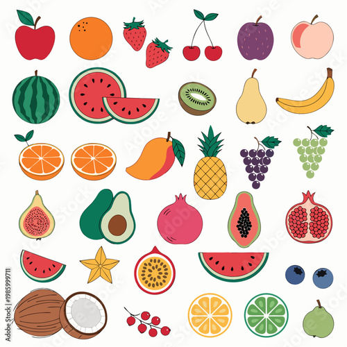 A vibrant illustration of various fruits arranged in rows on a clean surface