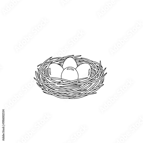 Bird's nest with four eggs illustration. Hand-drawn simple black and white line art, representing nature, spring, and new life vector.