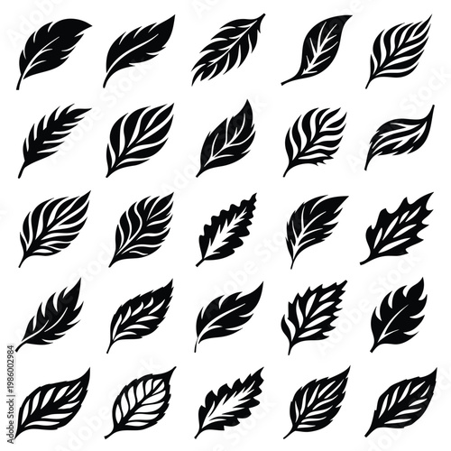Detailed Botanical Leaf Silhouette Set with Internal Vein Pattern