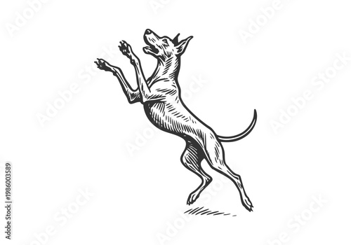 Great Dane dog sketch hand drawn simple vector illustration