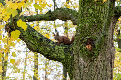 Foto Im Schloßpark Charlottenburg