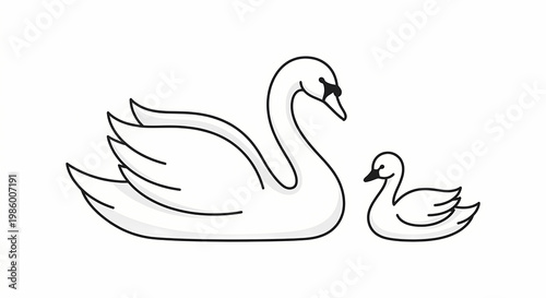 Mother swan with baby cygnet for Mother's Day nature concept