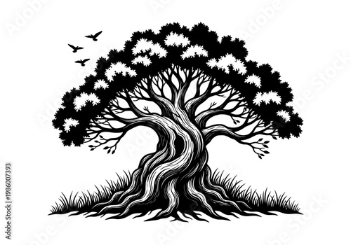 Ancient Oak Tree Woodcut Style Illustration, Gnarled Trunk with Roots and Flying Birds Silhouette, Black and White Nature Graphic Vector