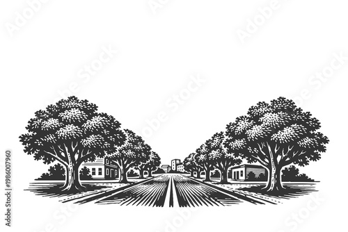 Striking perspective engraving of a straight road lined with large symmetrical trees leading toward a distant city horizon.