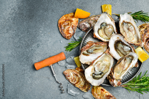 Fresh open oysters with lemon and ice, ready to eat, on a gray stone background.