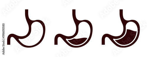 Silhouette Stomach Gerd Illustration Bundle Digestive System Anatomy Solid Vector Icon Set Clean Graphic Collection