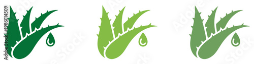 aloe vera leaf skincare natural icon set