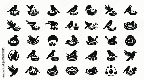 Variety of bird nest icons featuring birds with eggs in different stylized designs
