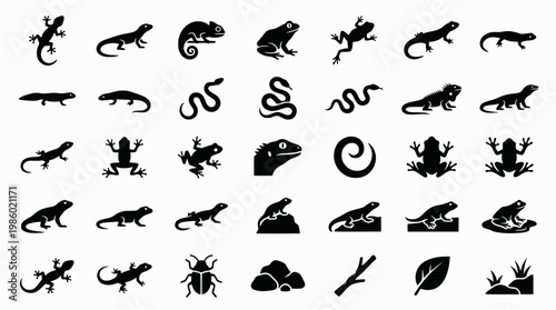 Set of black silhouettes of reptiles and insects including lizards and bugs
