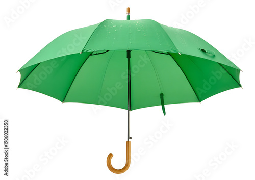 Green umbrella, closed green parasol, green rain umbrella, green accessory