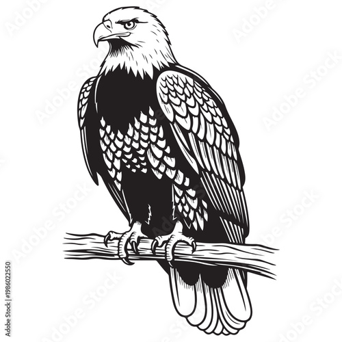 Quadro su tela Bald eagle perched on a branch black and white vector illustration for mascot or