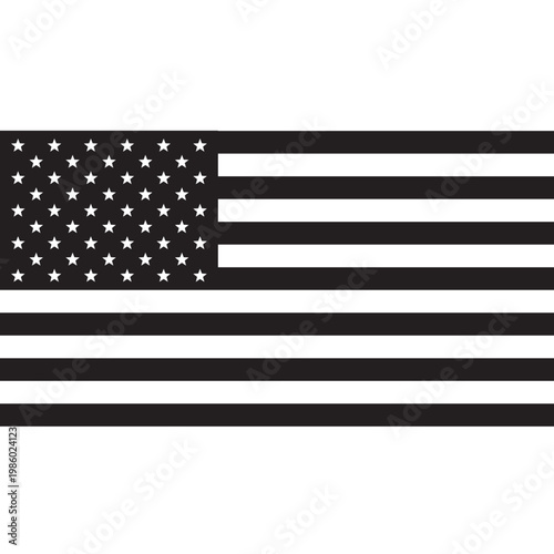 USA North America Flag Vector