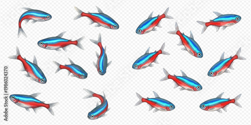 Set of neon tetra fish in various poses, isolated on transparent background, showcasing aquatic life.