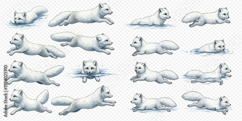 Set of arctic fox sprites in various poses, running, jumping, and swimming, isolated on a transparent background.