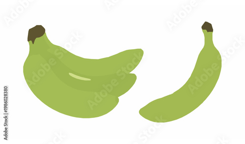 Green unripe bananas vector illustration – tropical fruit set