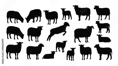 A collection of black silhouette images depicting various poses of sheep and lambs on a white background