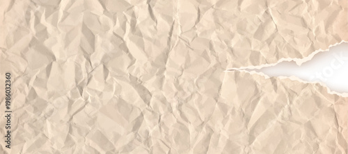 Torn crumpled paper background. Cardboard beige teture for crafts. Rip note ripped with texture piece strip and notebook fold brown. Scrap kraft page carton with torn edges for collage