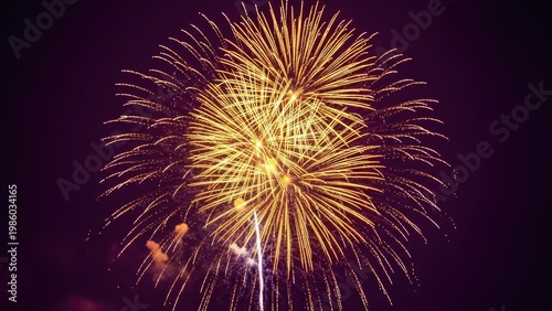 Vibrant fireworks display against a dark night sky abstract background