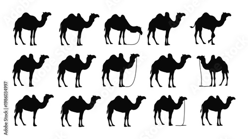 A collection of black silhouette images depicting various poses of dromedary camels high quality professional detailed