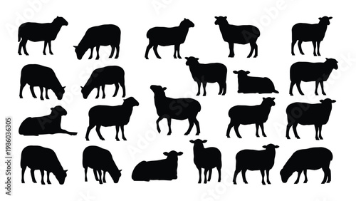 A collection of black silhouettes depicting various poses of sheep grazing and resting high quality professional
