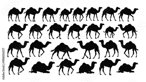 A collection of black silhouette images depicting various camels in different poses and arrangements high quality