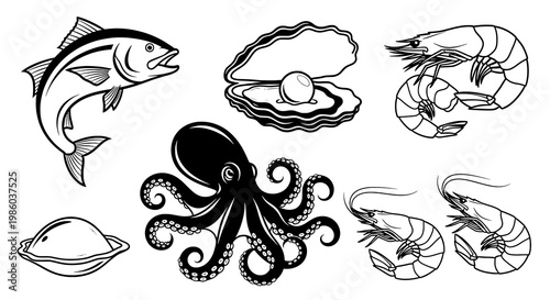 A Collection of Various Marine Seafood Creatures and Shellfish in Outline Vector