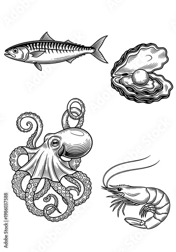 Detailed Black and White Engraving Style Illustrations of Various Marine Animals