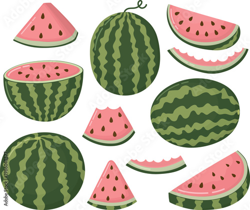 Set of whole watermelons and assorted slices in different shapes. Illustration of half fruit, triangular wedge, quarter slice and bitten portion.