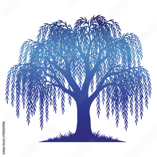 Φωτογραφία Black silhouette of a weeping tree.