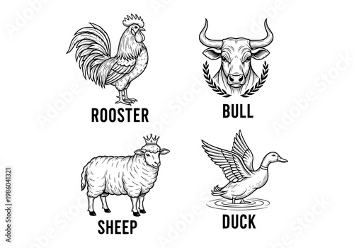 Collection of farm animals with labels and illustrations