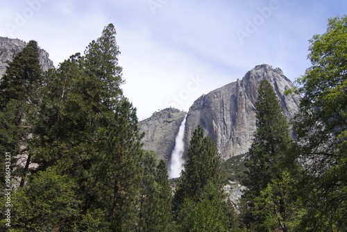 Der Upper Yosemite Wasserfall mit Bäumen im Yosemite Valley
