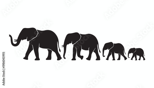 black and white silhouette set of elephant very high quality vector illustration.