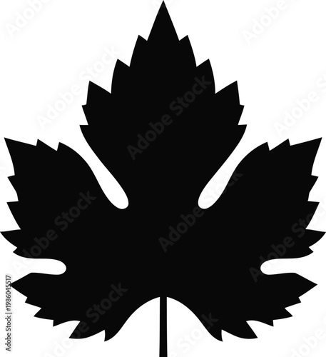 Grape leaf black icon isolated on white background, wine and winemaking symbol.